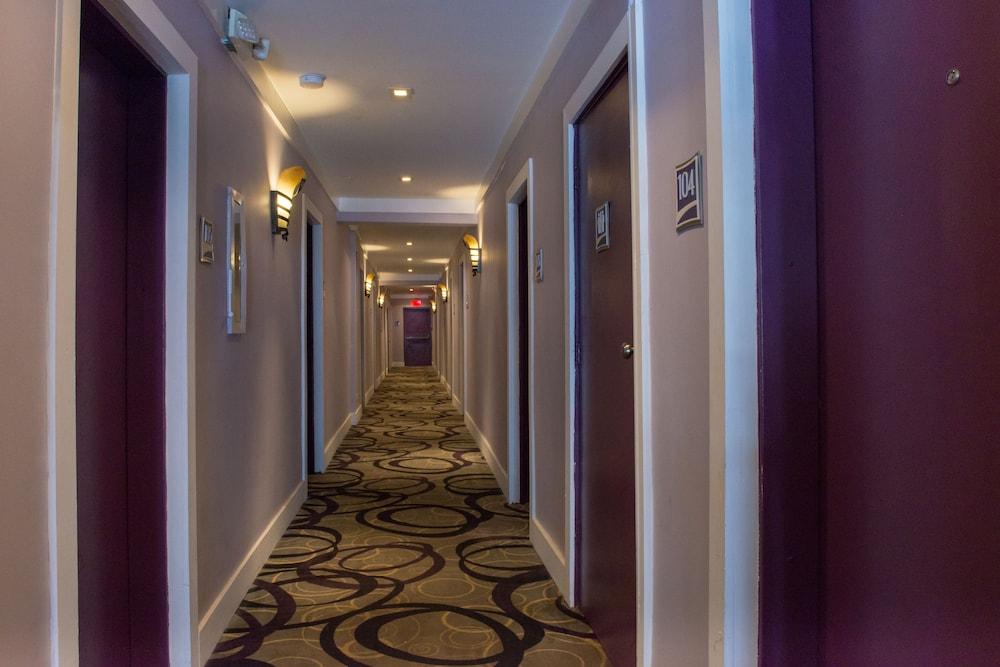 Shelley Hotel Miami Beach Exterior photo